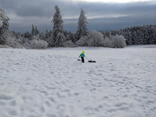 Gasthaus zur Gis - Gastronomie und Hotellerie