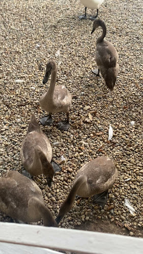 Opinii despre Brezen Bäck‘ în Klopein - Gastronomie und Hotellerie