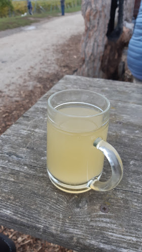 Mohrenberger Alm 2 - Perchtoldsdorf