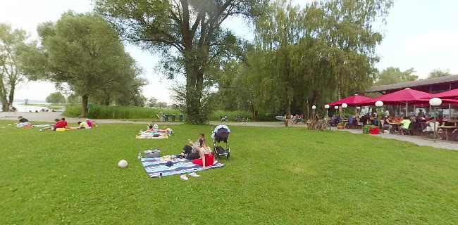 a. See 1, 6973 Höchst