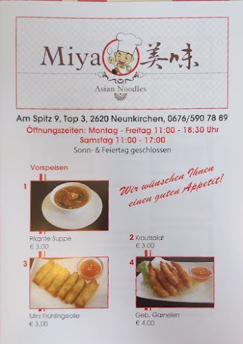 Miya Asia Noodles