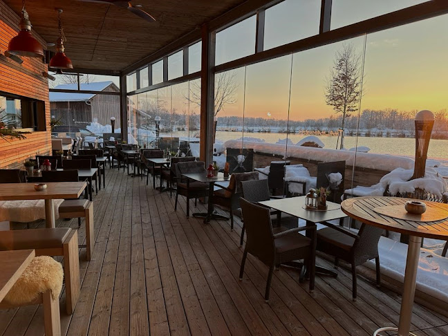 Comentarii opinii despre Thalhammers