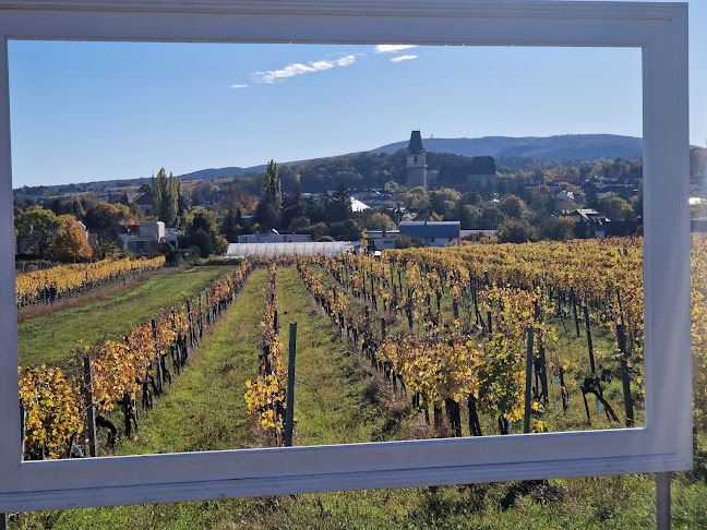 Mohrenberger Alm 2 - Perchtoldsdorf