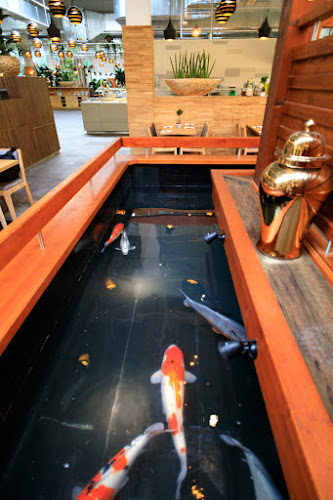 Watertuin World Kitchen - Wien