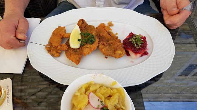 Opinii despre Stadtwirtshaus Hopferl în Gmünd - Gastronomie und Hotellerie