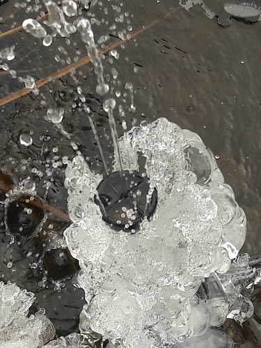 Gasthaus Stadler - Gastronomie und Hotellerie