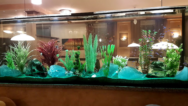 Restaurant Primavera - St. Valentin