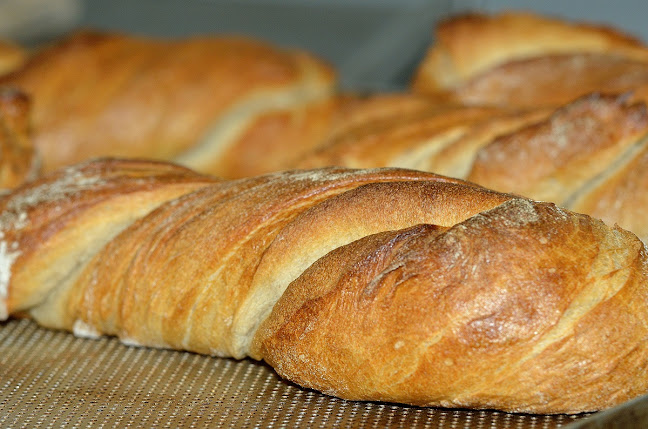 Bäckerei-Konditorei-Cafe Alber - Gastronomie und Hotellerie