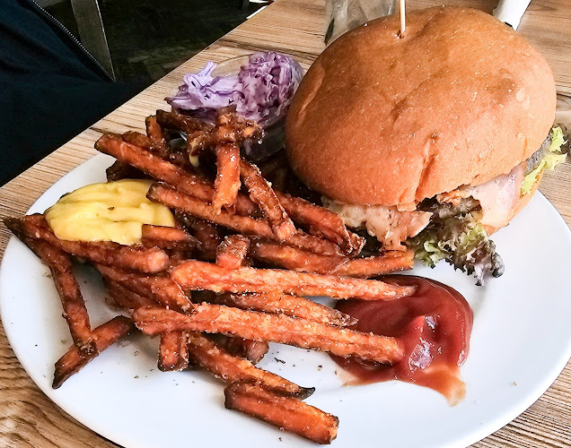 Comentarii opinii despre Area 5