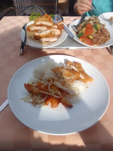 Comentarii opinii despre China Restaurant zum goldenen Panda