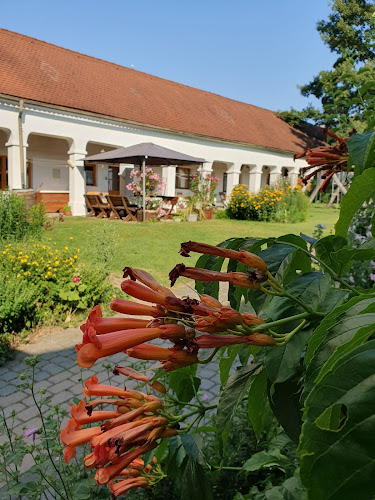 Weingut Genießerzimmer Bohrn - Gastronomie und Hotellerie