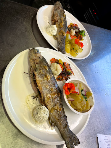 a. See 1, 6973 Höchst