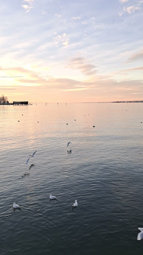 Fischersteg - Sunset Bar - Bregenz - Bregenz