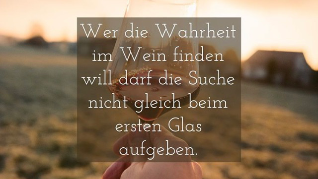 Opinii despre Vino Neustadt - Weinbar und Vinothek în Wiener Neustadt - Gastronomie und Hotellerie