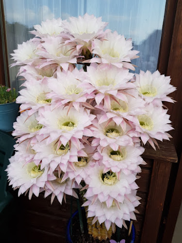 Bäckerstraße 3, 5020 Salzburg