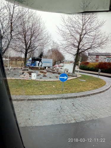 Comentarii opinii despre Berger Brot