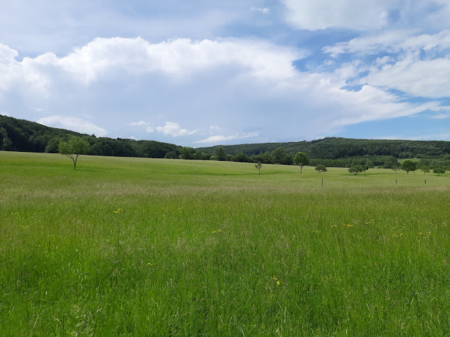 Comentarii opinii despre Gasthaus Steinerhof