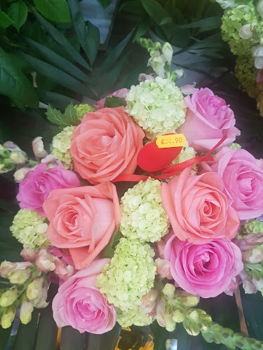 Comentarii opinii despre Blumen Dunja