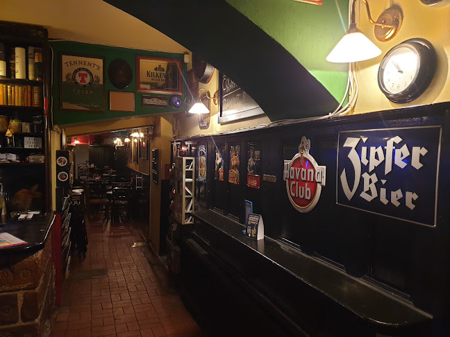 Comentarii opinii despre Polkadot Vienna