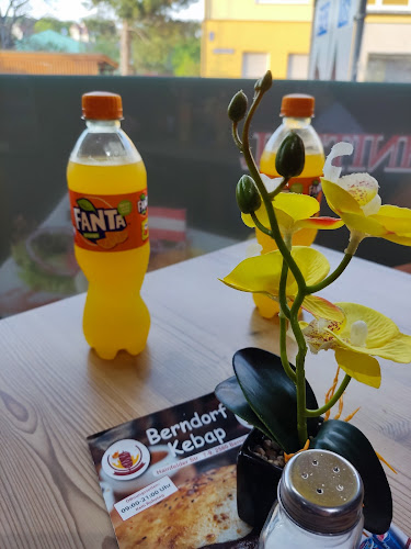 Hainfelder Str. 9, 2560 Berndorf