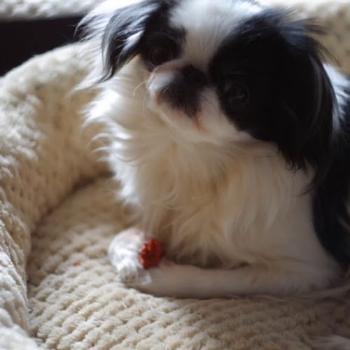 Opinii despre Lena-Alm în Schladming - Gastronomie und Hotellerie