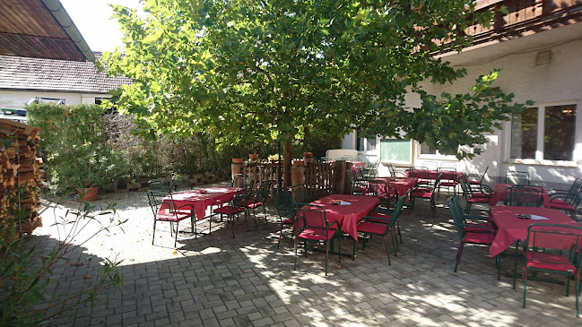 Landgasthaus Der wilde Wirt - Sieghartskirchen