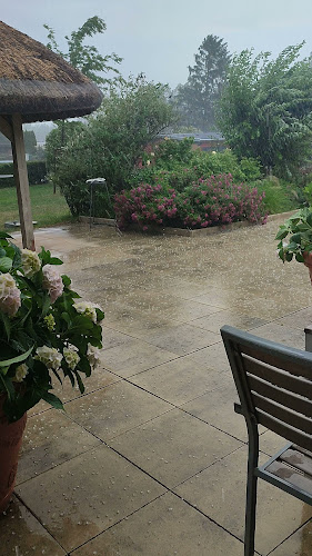 Opinii despre Storchenbeisl în Purbach am Neusiedler See - Gastronomie und Hotellerie