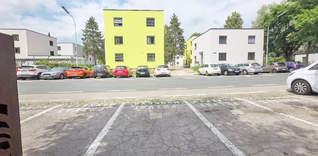 Opinii despre Monkeys University în Klagenfurt am Wörthersee - Gastronomie und Hotellerie