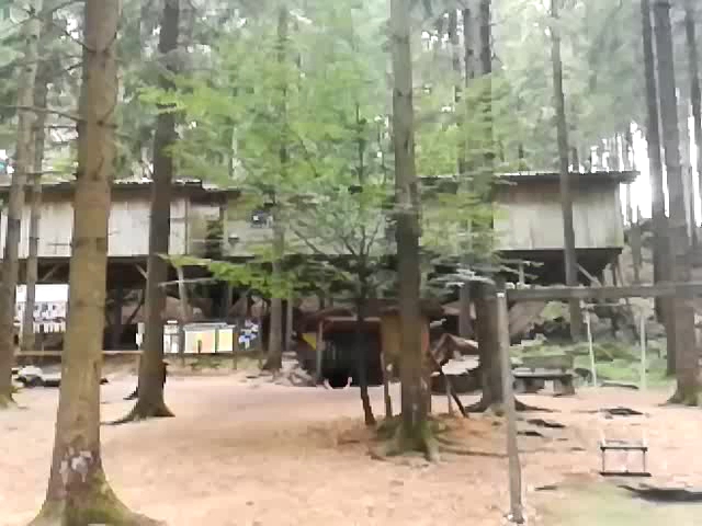 Waldgasthof Oachkatzl - Schlemmen und Feiern