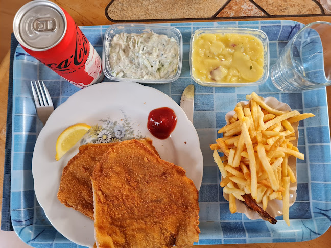 Opinii despre Wiener Schnitzel Plaza în Wien - Gastronomie und Hotellerie