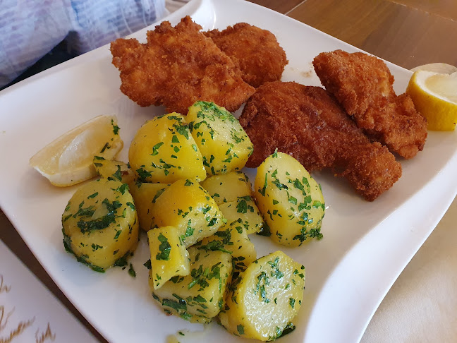 Cafe - Restaurant Fido's Steyr - Steyr