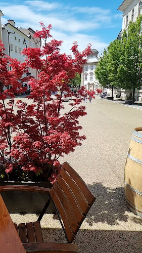 Opinii despre Restaurant Gasthaus Hinterbrühl în Salzburg - Gastronomie und Hotellerie