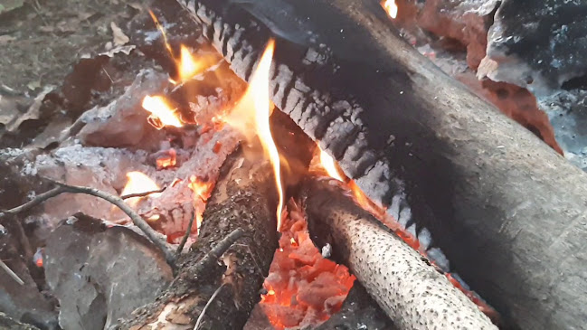 Landgasthaus Der wilde Wirt