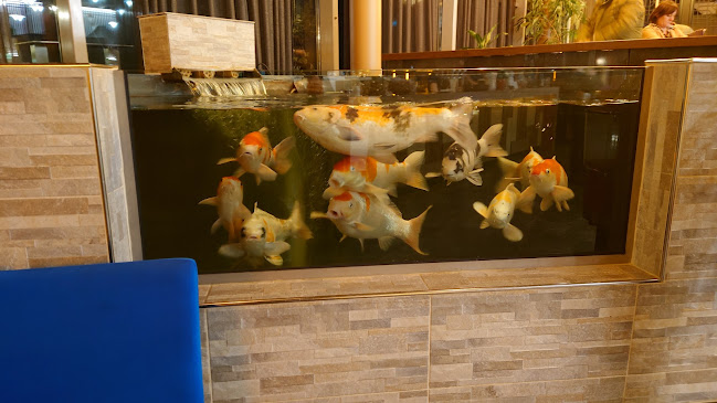 Kota Radja Jiang & Yu GesmbH - Gastronomie und Hotellerie