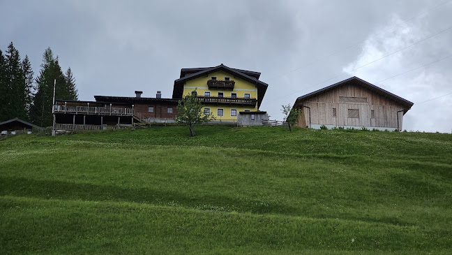 Comentarii opinii despre Gasthaus /Jausenstation Pauss Bauer