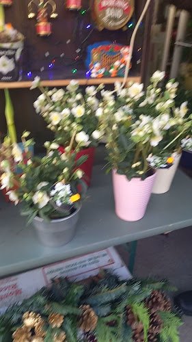 Wiedner Hauptstraße 75, 1040 Wien