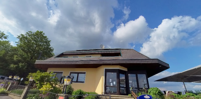 Zum Wirt´n am Steinberg - Zistersdorf