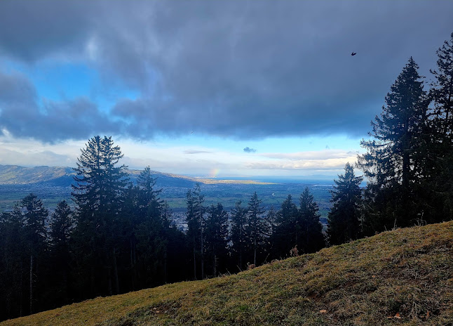 Alpe Schwende - Dornbirn
