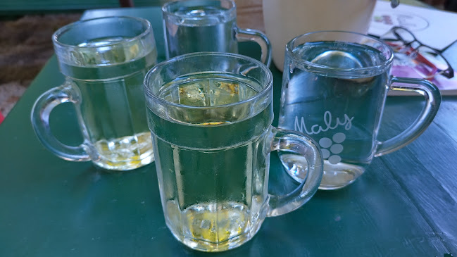 Comentarii opinii despre Heuriger Maly