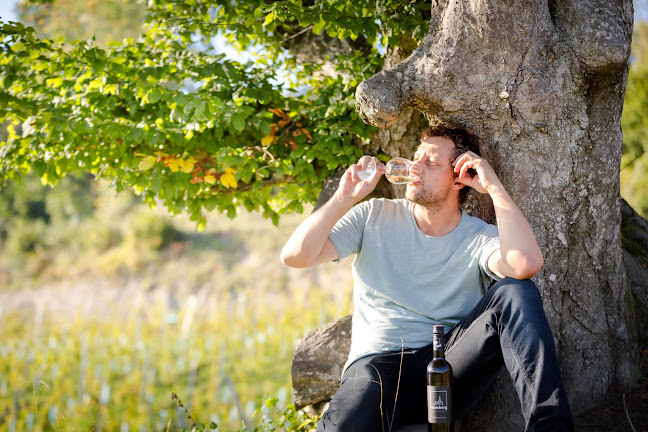 Opinii despre Sternberg Weingut Egger în Wernberg - Gastronomie und Hotellerie