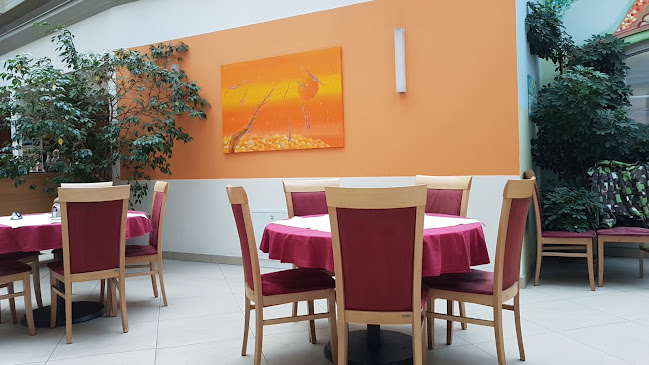 Hauptpl. 19, 2514 Traiskirchen