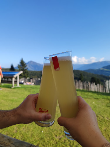 Comentarii opinii despre Wochenbrunner Alm