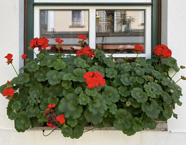 Bahnhofstraße 6, 5760 Saalfelden am Steinernen Meer