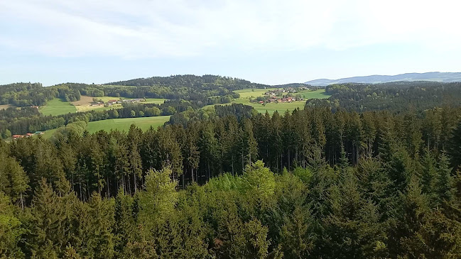 Waldgasthof Oachkatzl - Schlemmen und Feiern - Knechtelsdorf