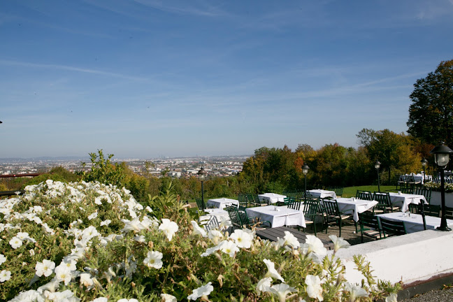 Panoramarestaurant - Mödling