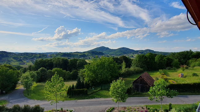 Comentarii opinii despre Lounge 81