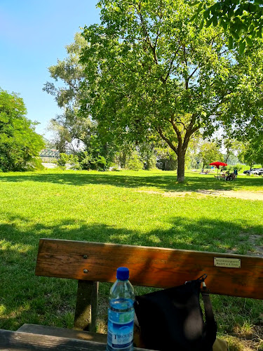 On the Beach - Mautern an der Donau
