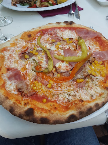 Comentarii opinii despre Monte Rosa