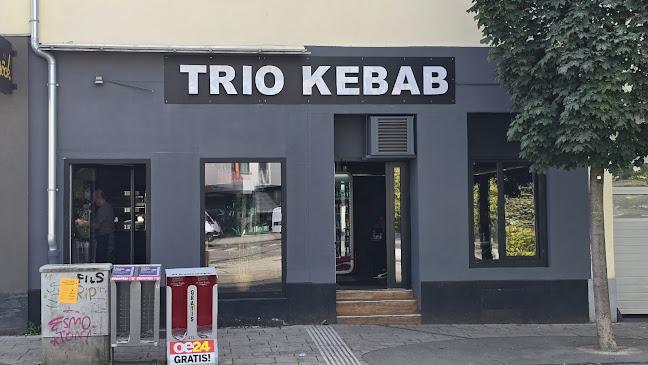 Trio Kebap Pizza Falafel - Gastronomie und Hotellerie