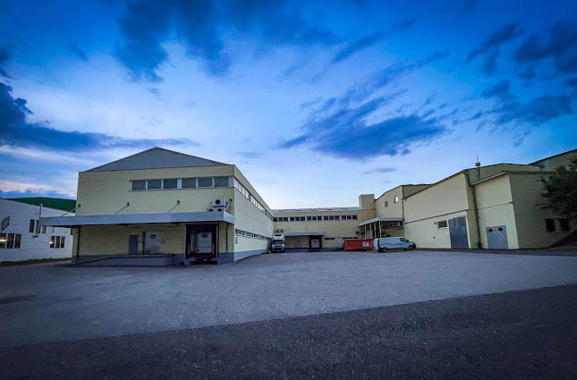 Elfin Feinkost GmbH - Leonding